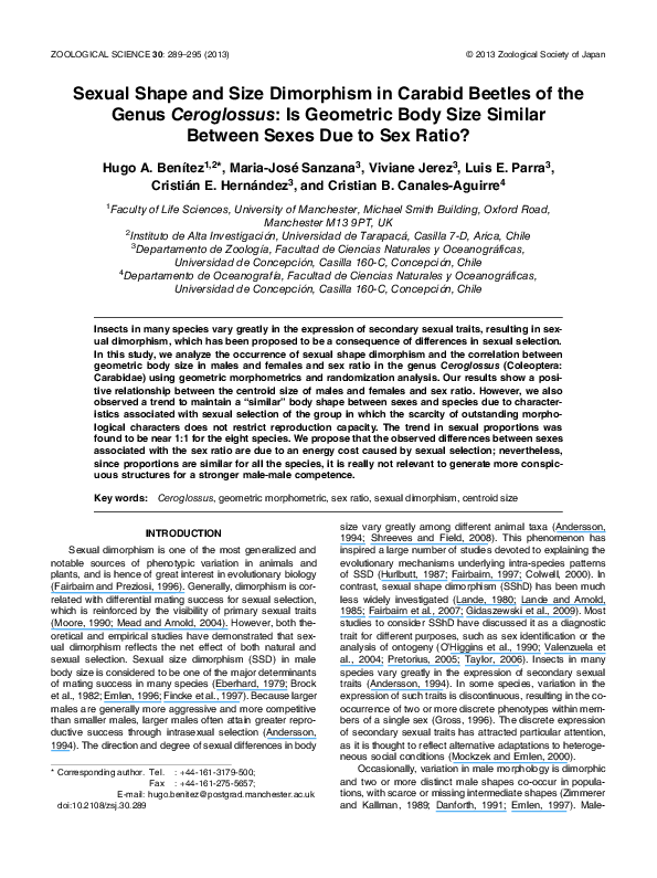 (PDF) Sexual Shape and Size Dimorphism in Carabid Beetles of the Genus ...