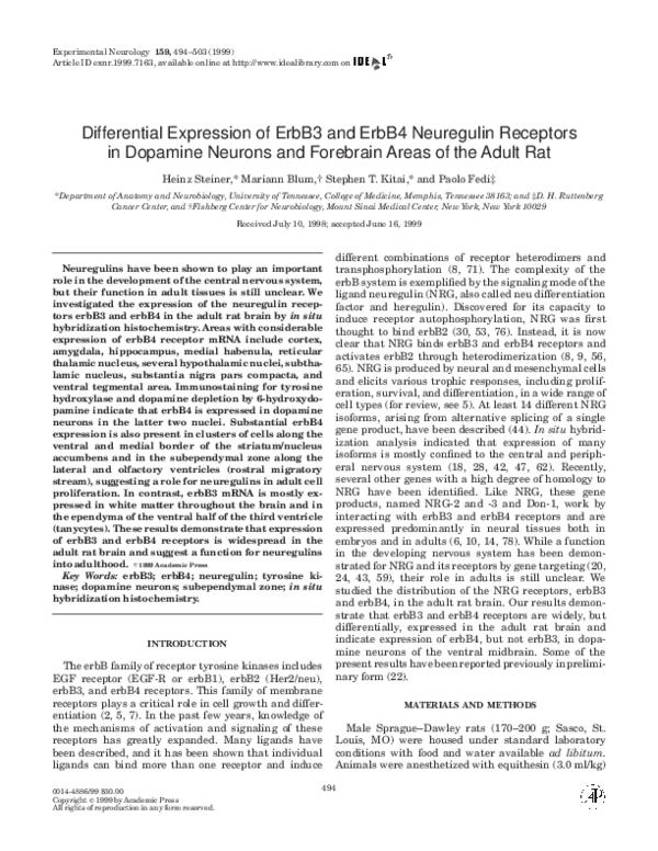 (PDF) Differential Expression of ErbB3 and ErbB4 Neuregulin Receptors ...