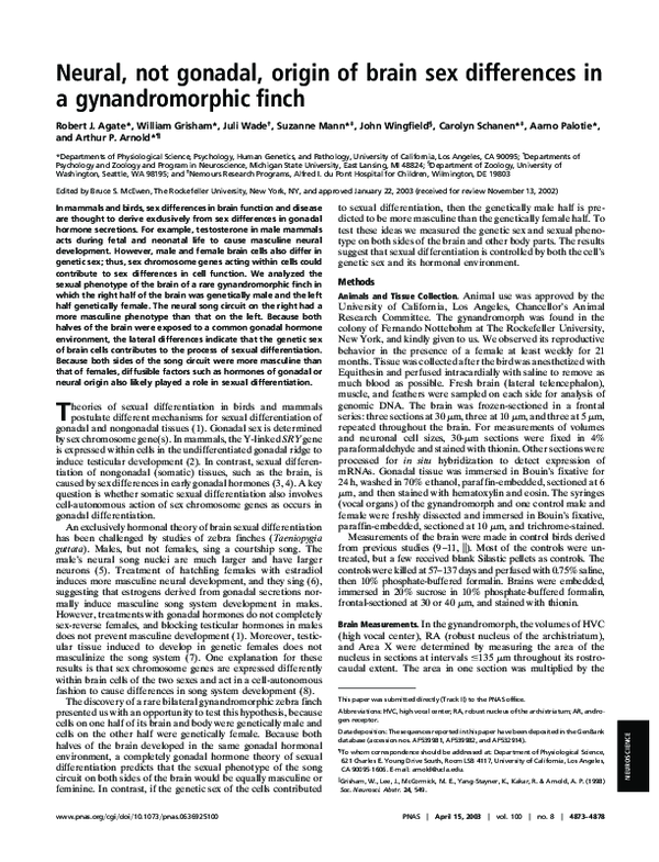 (PDF) Neural, not gonadal, origin of brain sex differences in a ...