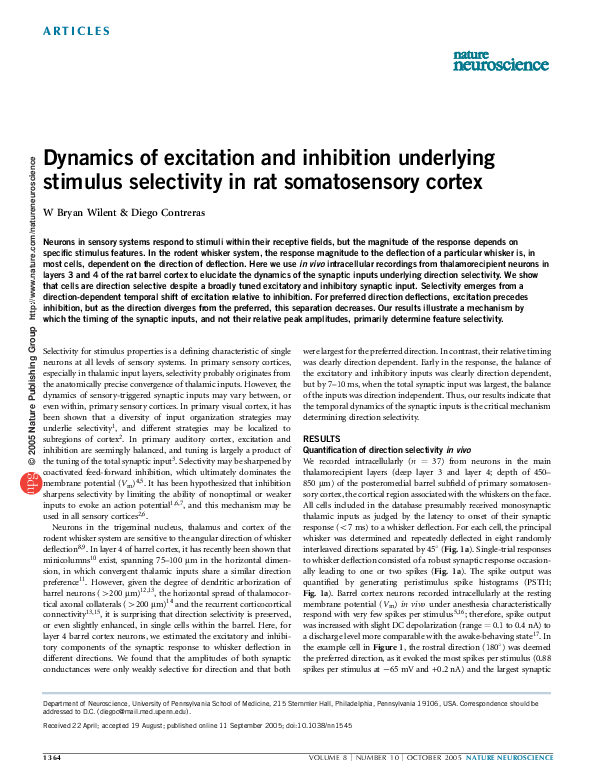 (PDF) Dynamics of excitation and inhibition underlying stimulus ...