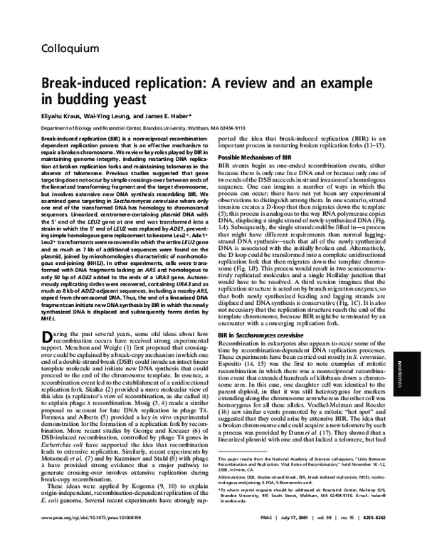 (PDF) Break-induced replication: A review and an example in budding yeast