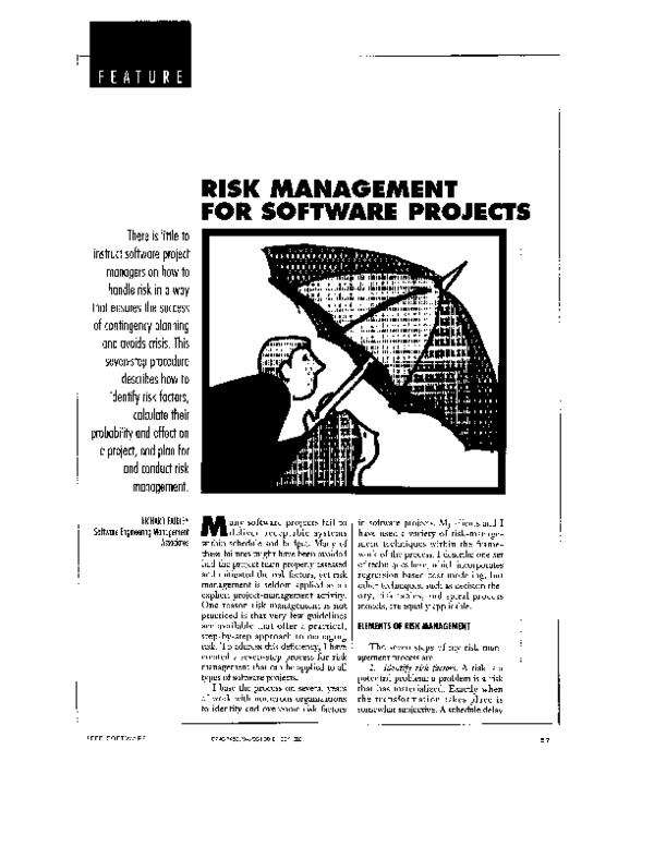 (PDF) Risk management for software projects
