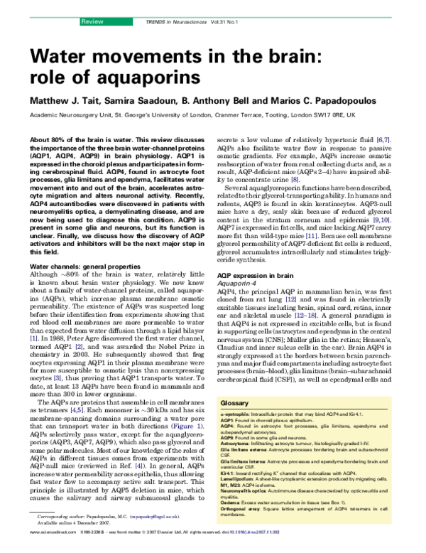 Water Movements In The Brain: Role Of Aquaporins – XNCUC