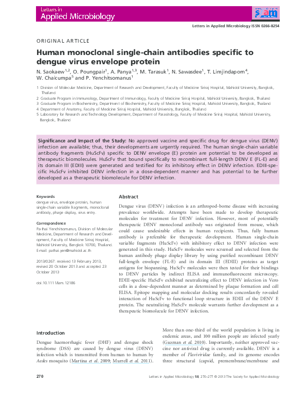 (PDF) Human monoclonal single-chain antibodies specific to dengue virus ...