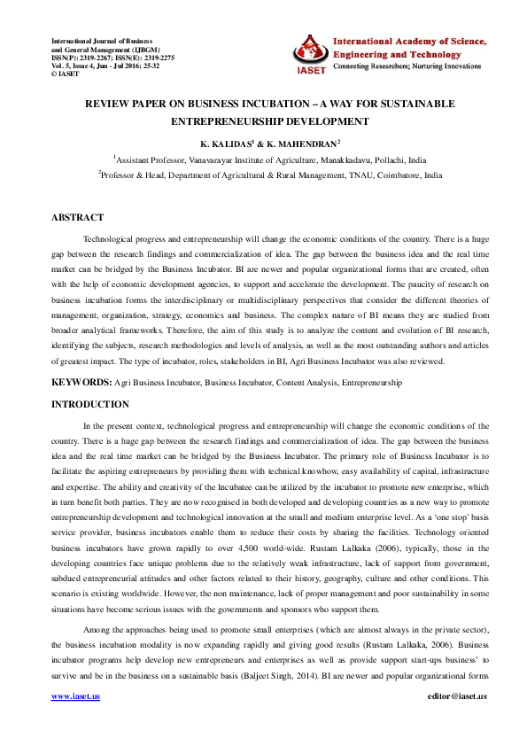 Sustainable entrepreneurship essay image