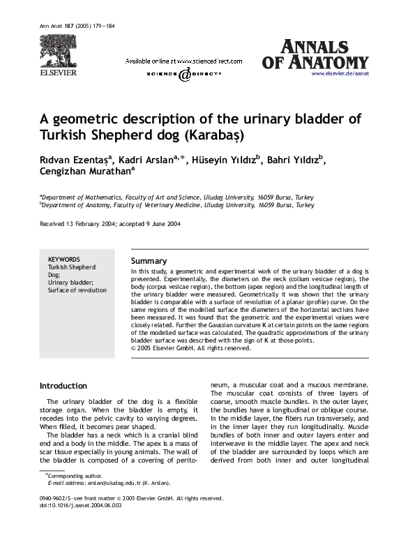 (PDF) A geometric description of the urinary bladder of Turkish ...