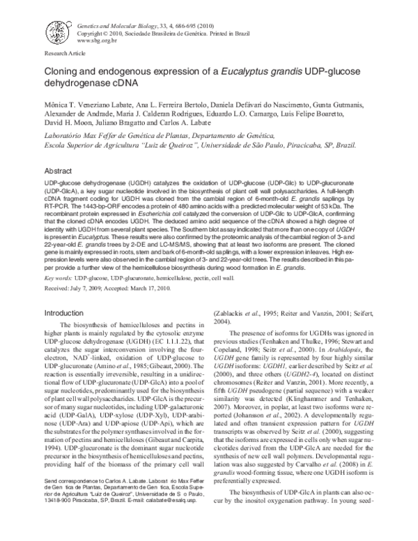 (PDF) Cloning and endogenous expression of a Eucalyptus grandis UDP ...