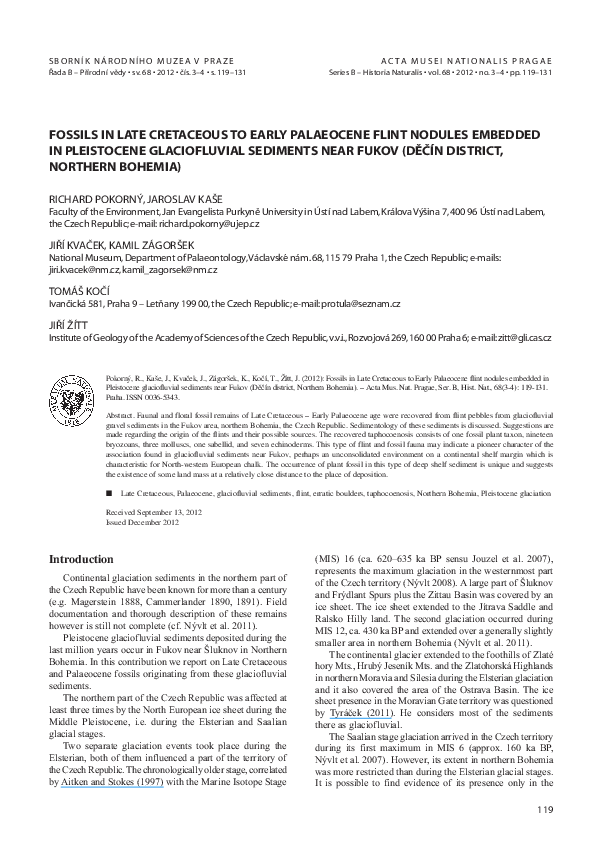 (PDF) Fossils in Late Cretaceous to early Palaeocene flint nodules ...