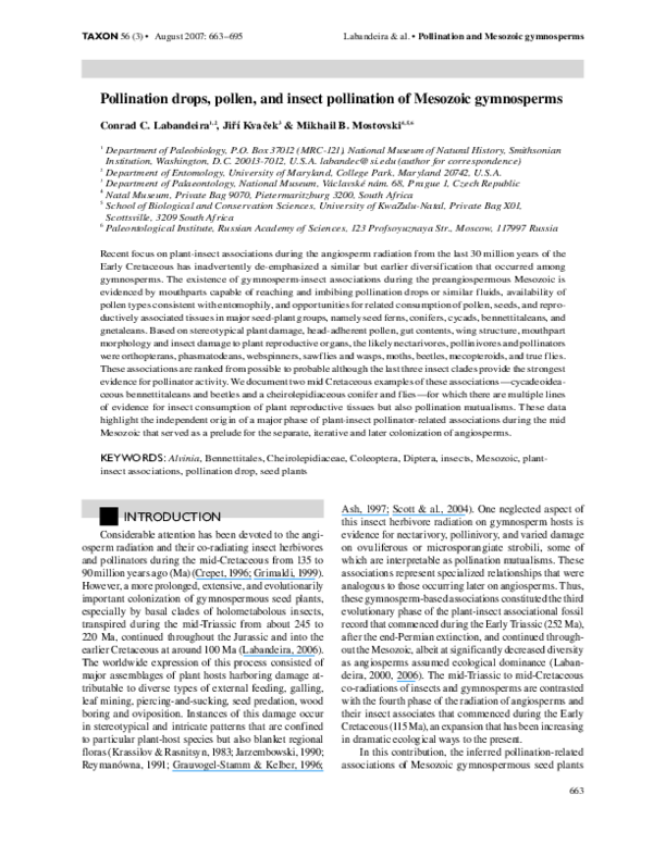 What other insects pollinate image