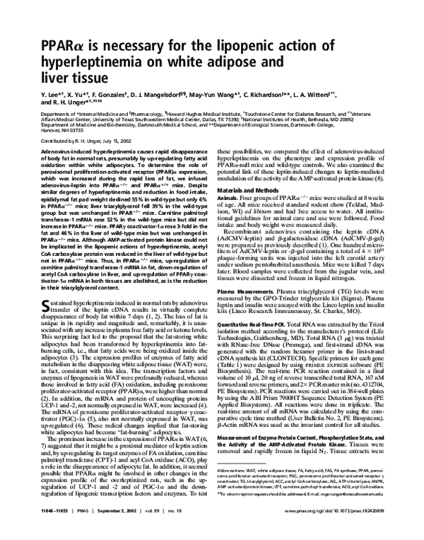 (PDF) PPAR is necessary for the lipopenic action of hyperleptinemia on ...