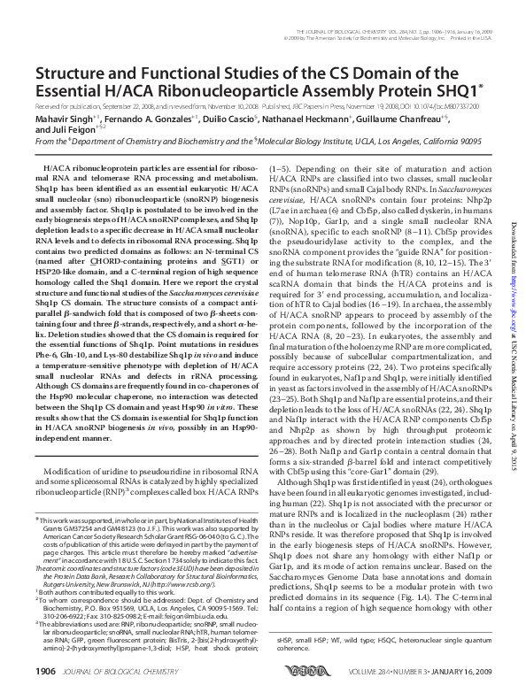 (PDF) Structure and Functional Studies of the CS Domain of the ...