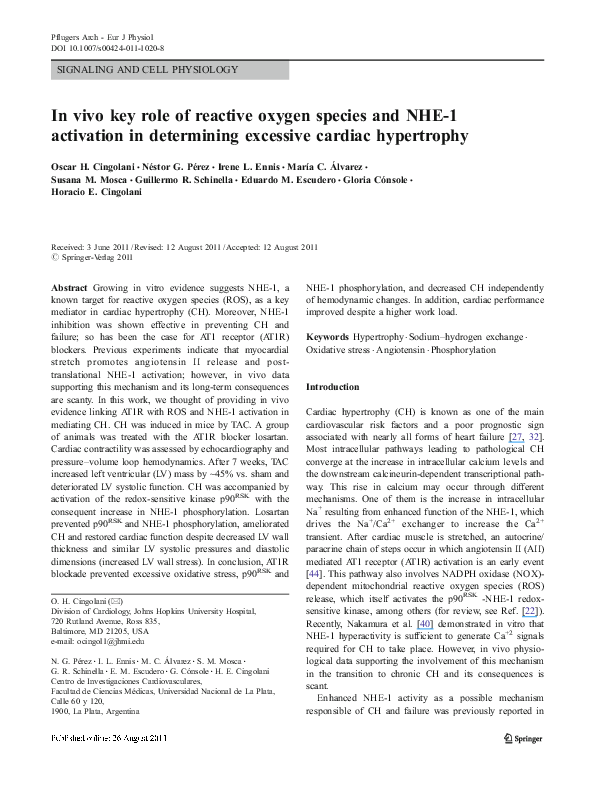(PDF) In vivo key role of reactive oxygen species and NHE-1 activation ...