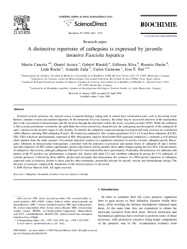 (PDF) A distinctive repertoire of cathepsins is expressed by juvenile ...