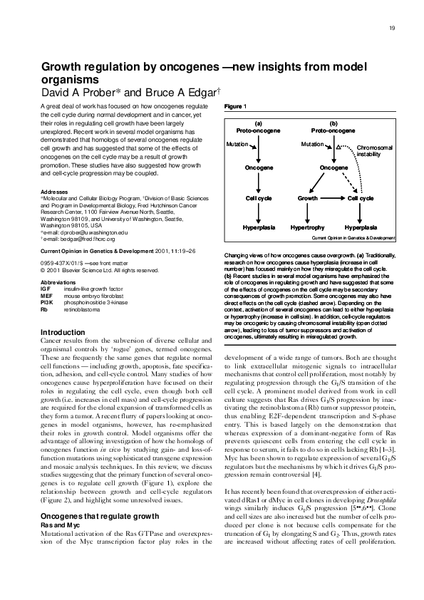 (PDF) Growth regulation by oncogenes — new insights from model