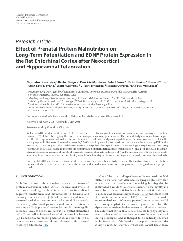 (PDF) Effect of Prenatal Protein Malnutrition on Long-Term Potentiation ...