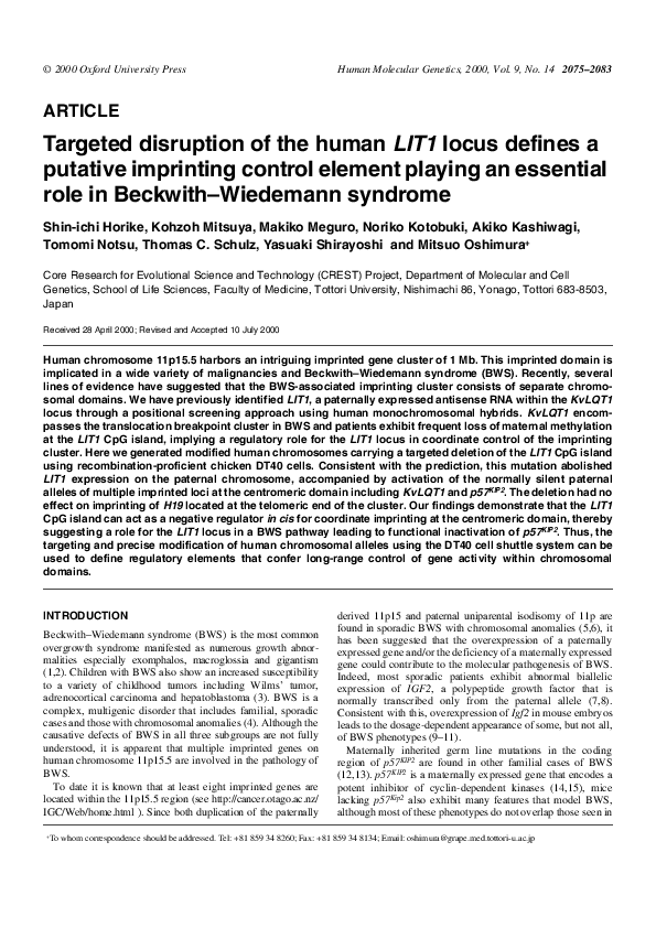 Synthesis essay example picture