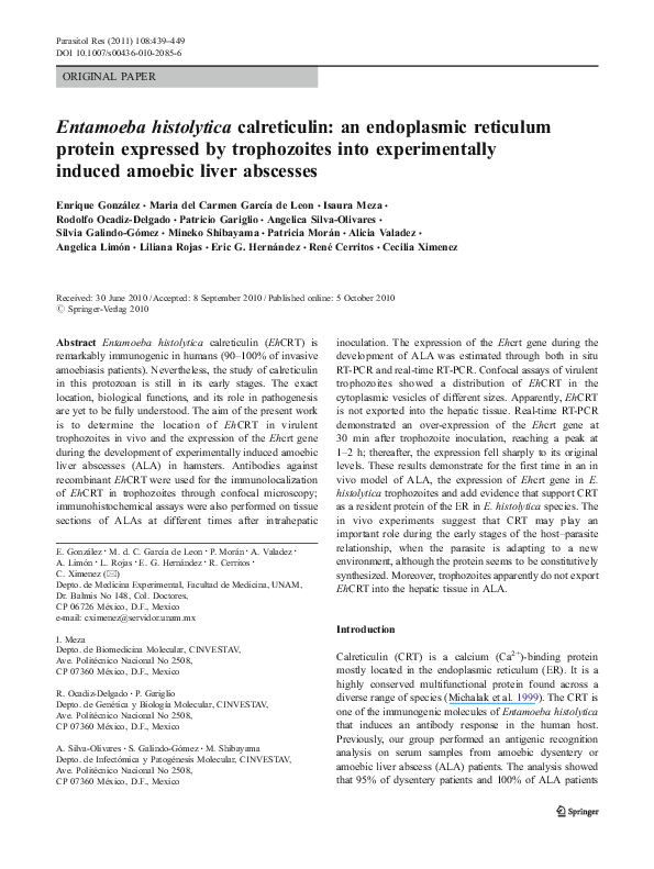 Entamoeba histolytica cyst image