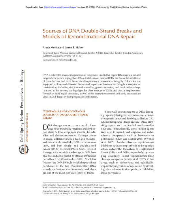 (PDF) Sources of DNA double-strand breaks and models of recombinational ...
