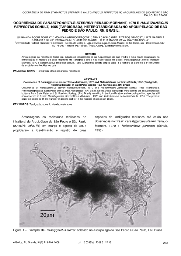 Juliana schulz mcgill thesis 08 image