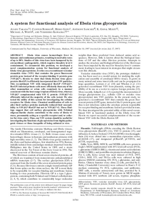 (PDF) A system for functional analysis of Ebola virus glycopro-tein