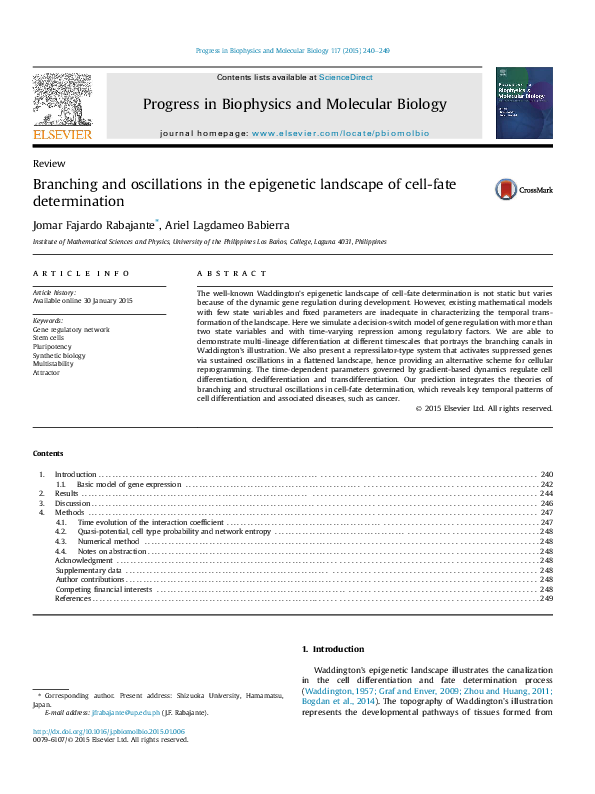(PDF) Branching and oscillations in the epigenetic landscape of cell ...