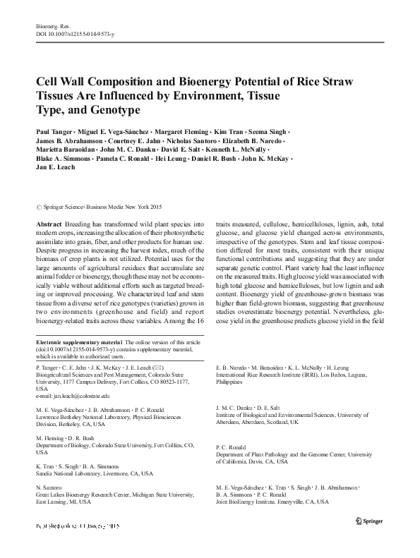 Rice straws for drinking image