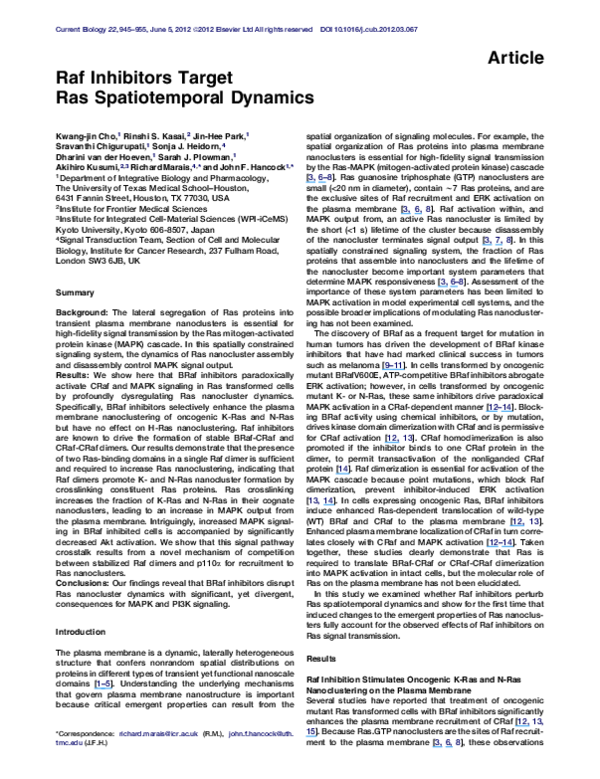 (PDF) Raf Inhibitors Target Ras Spatiotemporal Dynamics