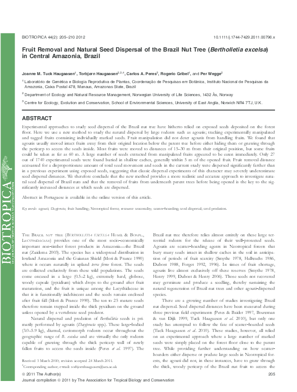 (PDF) Fruit Removal and Natural Seed Dispersal of the Brazil Nut Tree