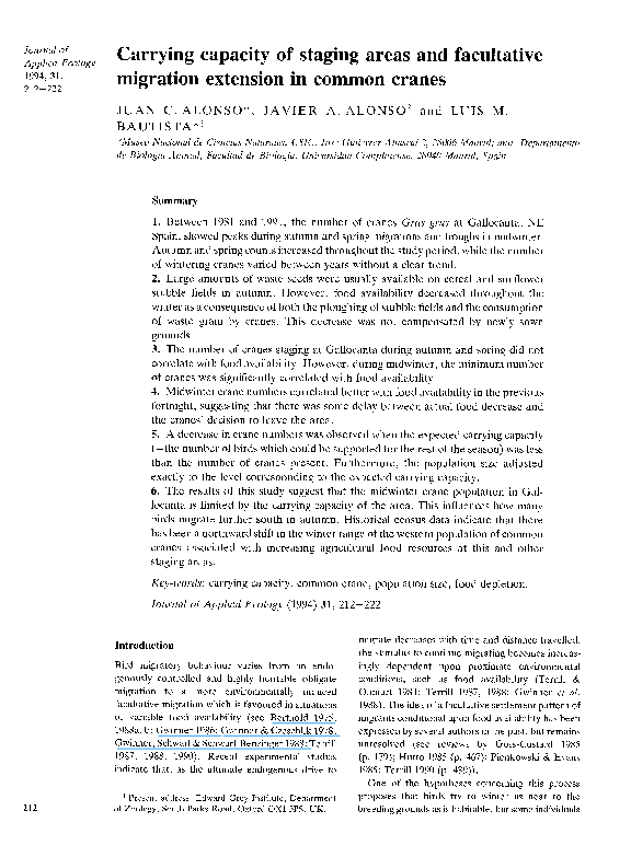 Crane vs heron image