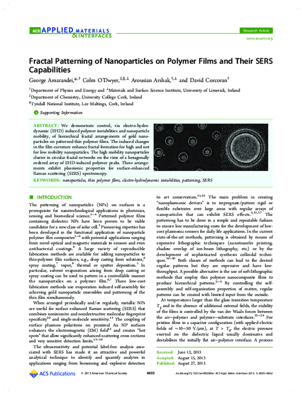 (PDF) Fractal Patterning of Nanoparticles on Polymer Films and Their ...