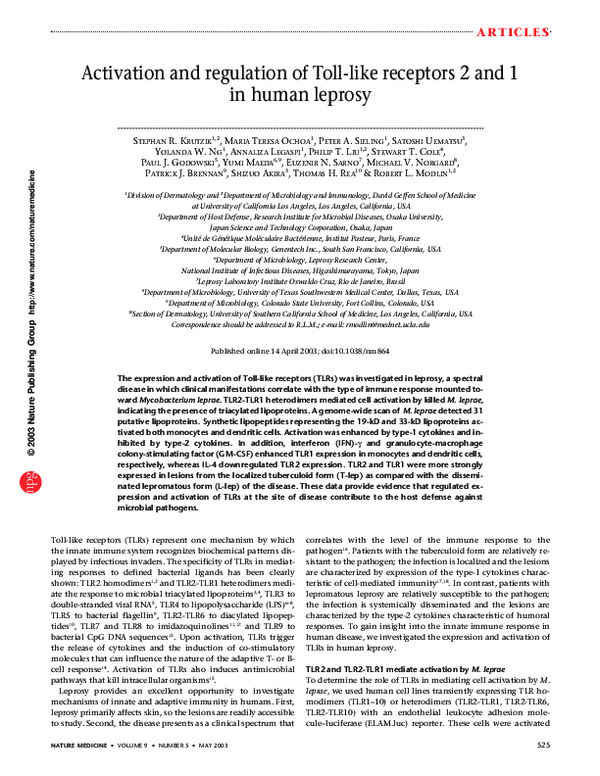 (PDF) Activation and regulation of Toll-like receptors 2 and 1 in human ...