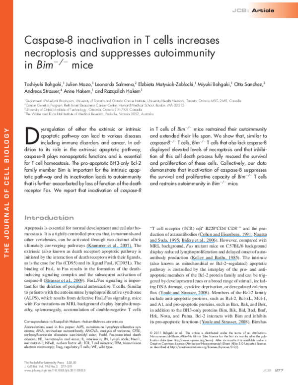 (PDF) Caspase-8 inactivation in T cells increases necroptosis and ...