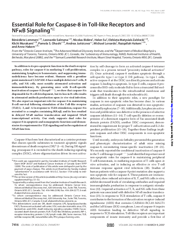 (PDF) Essential Role for Caspase-8 in Toll-like Receptors and NF B ...