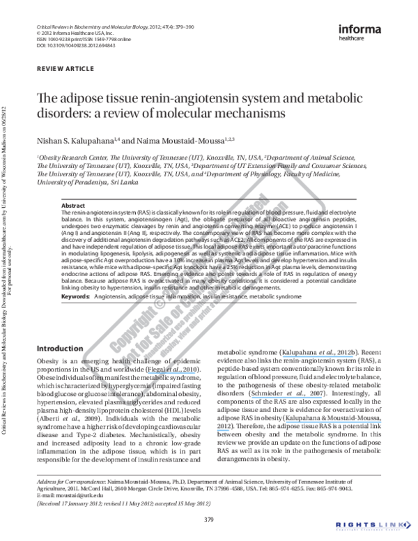 (PDF) The adipose tissue renin-angiotensin system and metabolic ...