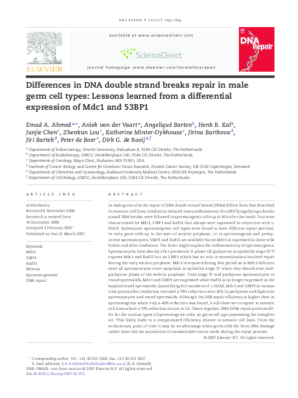 (PDF) Differences in DNA double strand breaks repair in male germ cell ...