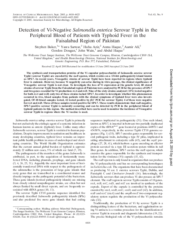 (PDF) Detection of Vi-Negative Salmonella enterica Serovar Typhi in the ...
