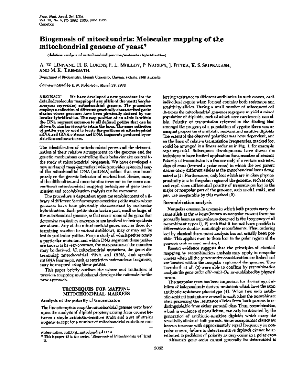 (PDF) Biogenesis of mitochondria: molecular mapping of the ...