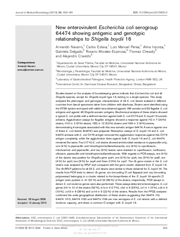 Shigella symptoms picture