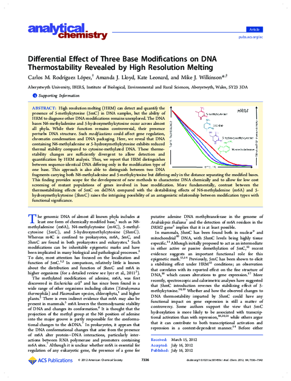 (PDF) Differential Effect of Three Base Modifications on DNA ...