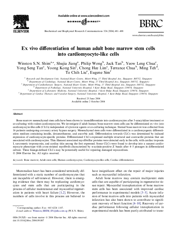 (PDF) Ex vivo differentiation of human adult bone marrow stem cells ...