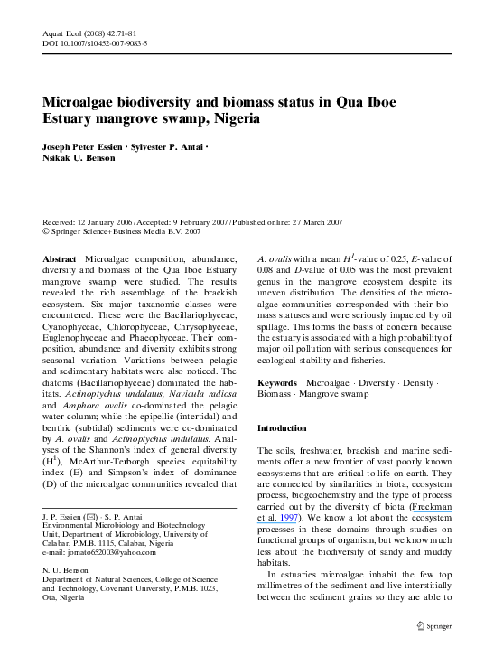 Mangrove swamp plants picture