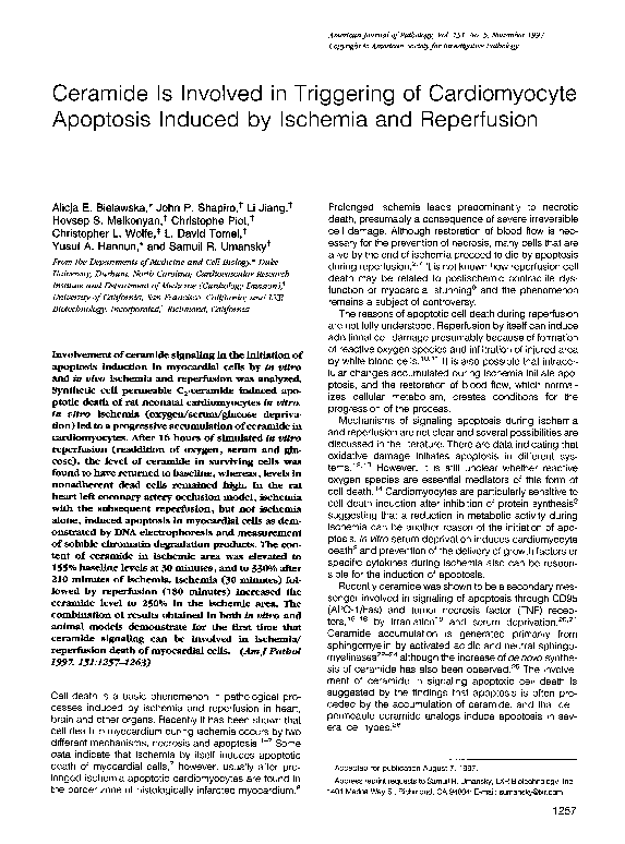 (PDF) Ceramide is involved in triggering of cardiomyocyte apoptosis ...