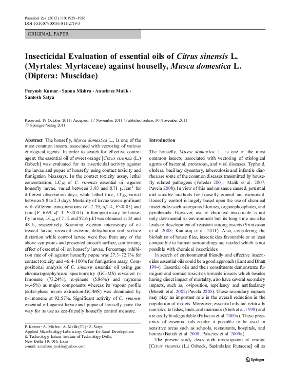 Housefly essay image