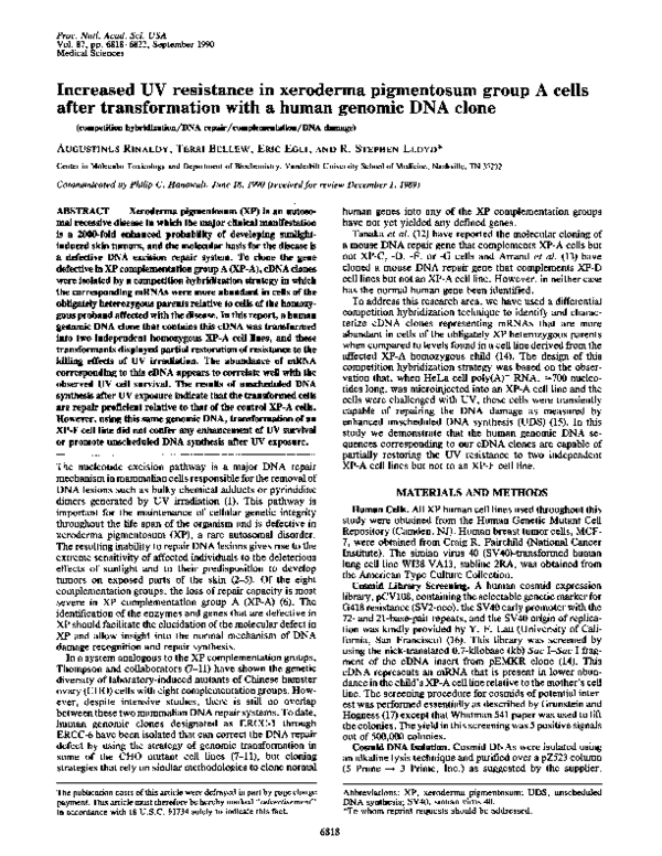 (PDF) Increased UV resistance in xeroderma pigmentosum group A cells ...