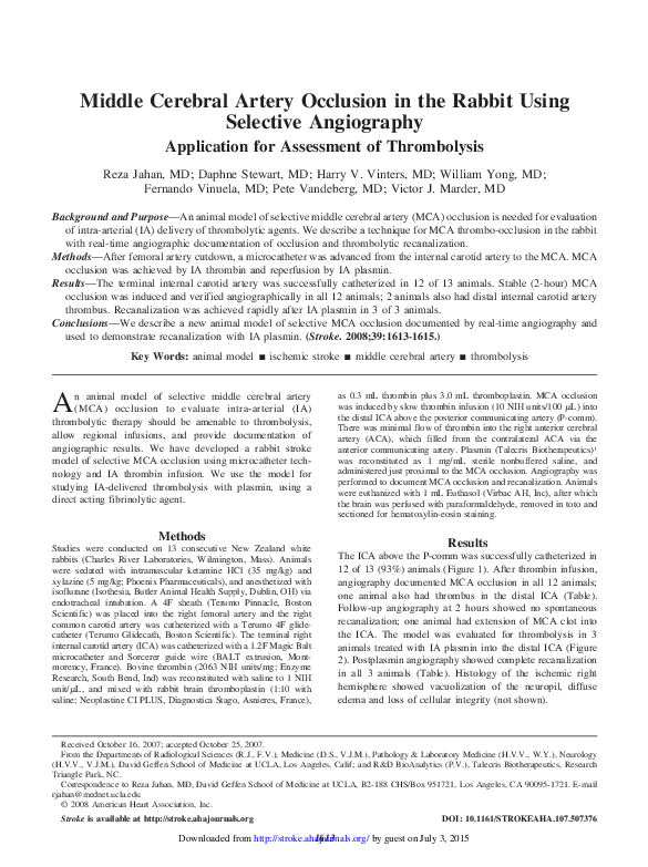 (PDF) Middle Cerebral Artery Occlusion in the Rabbit Using Selective ...