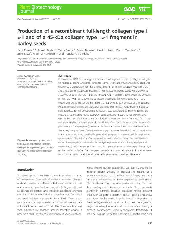 (PDF) Production of a recombinant full-length collagen type I α-1 and ...