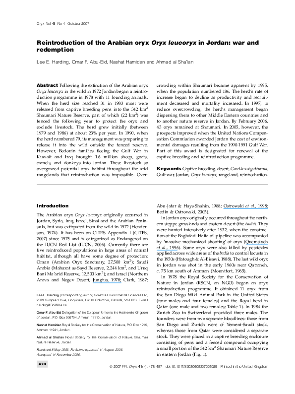 Arabian oryx essay picture