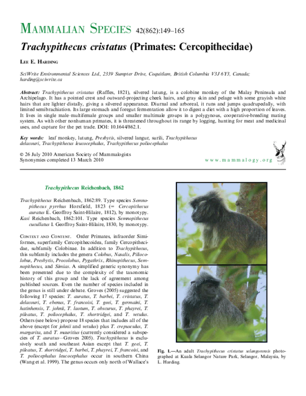 (PDF) Trachypithecus cristatus (Primates Cercopithecidae) Lee E