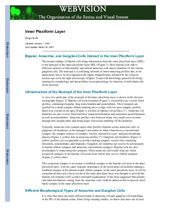 (PDF) Inner Plexiform Layer