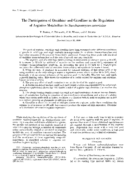 Citrulline paper essay image
